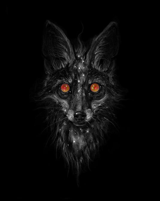 Wandering Flame