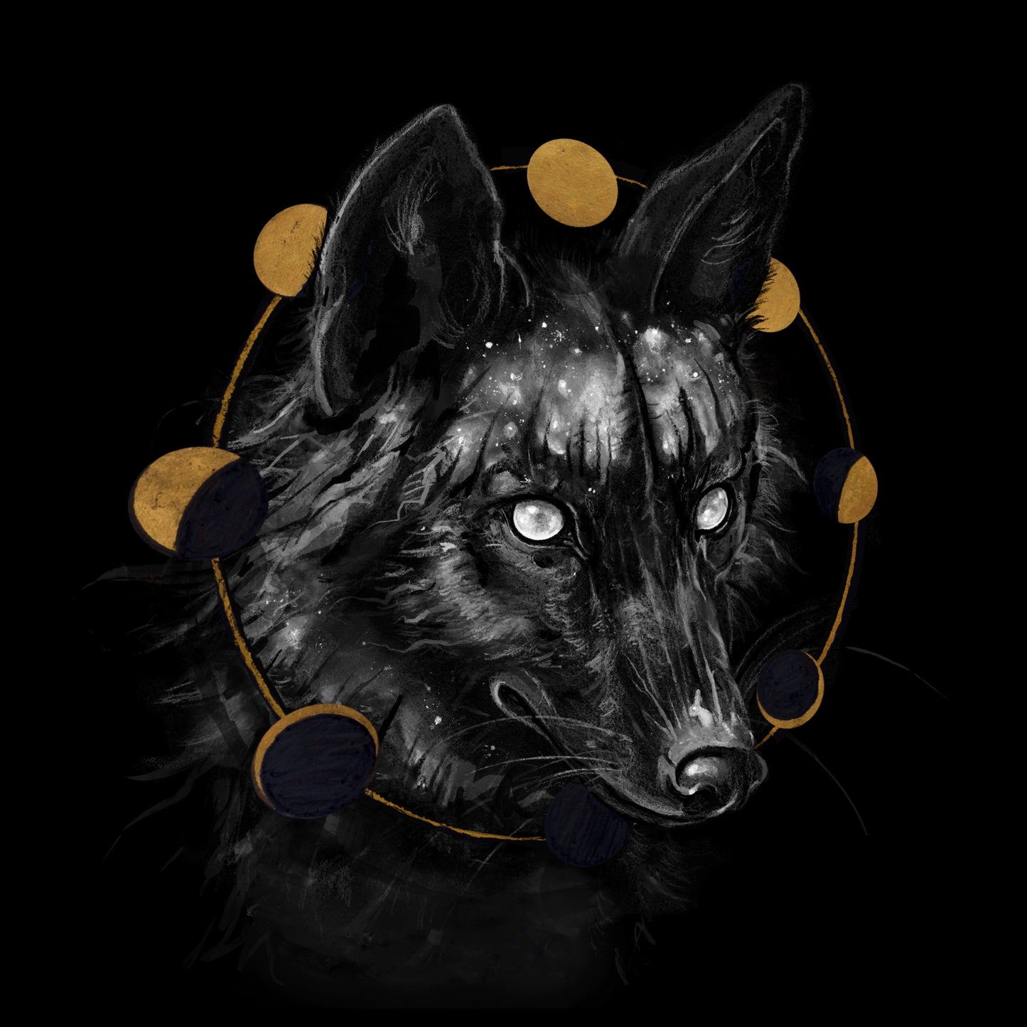 Wading thru the Phases