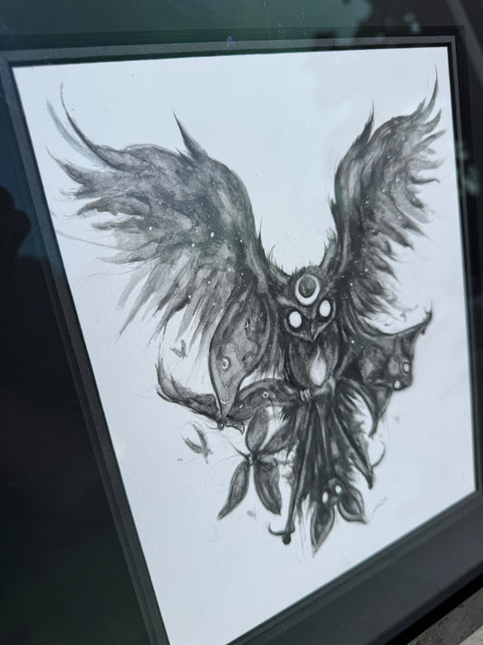Night Takes Flight