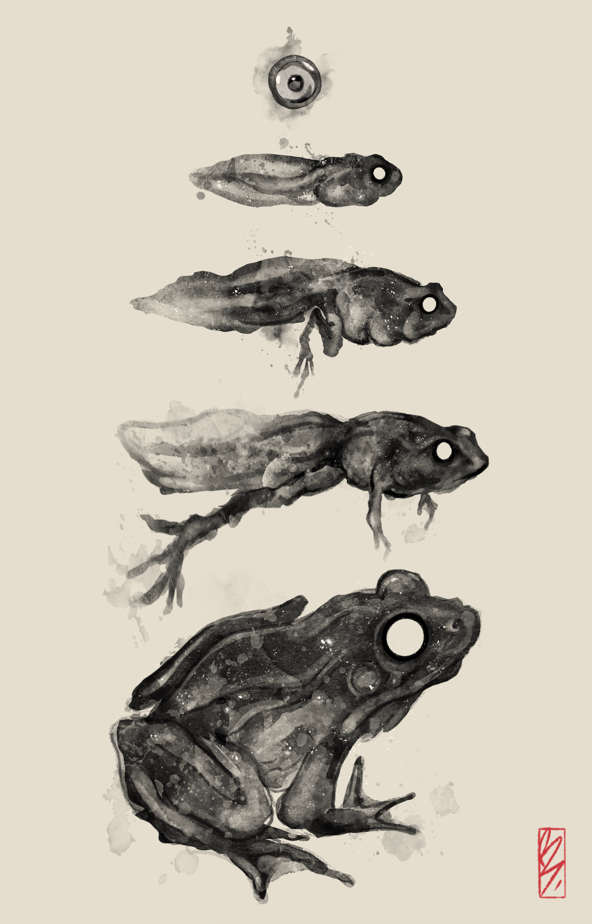 Metamorphosis I