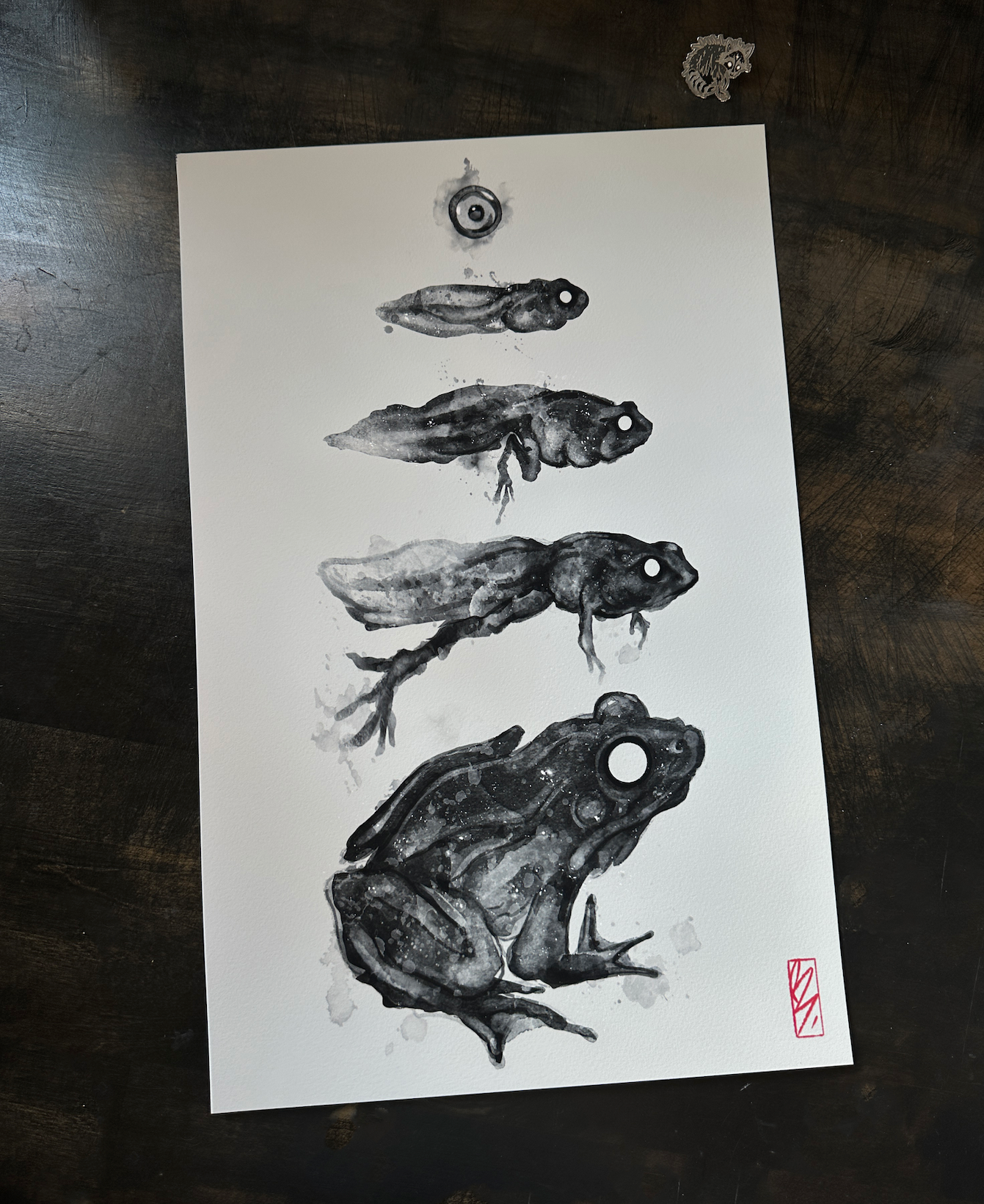 Metamorphosis I