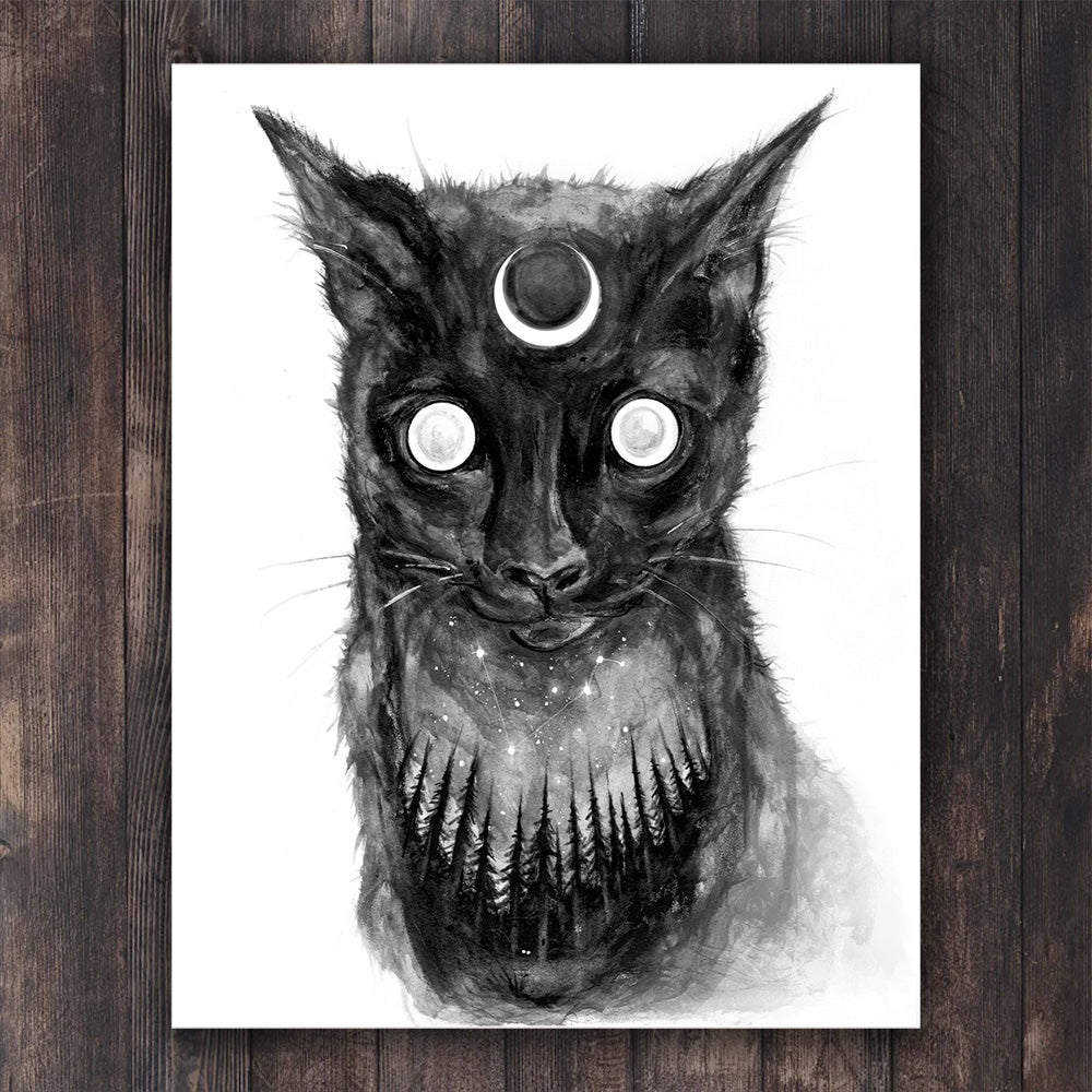 Feral Crescent