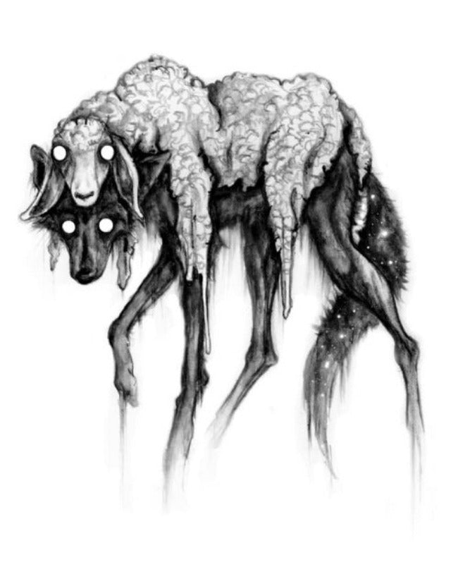 Among Sheep