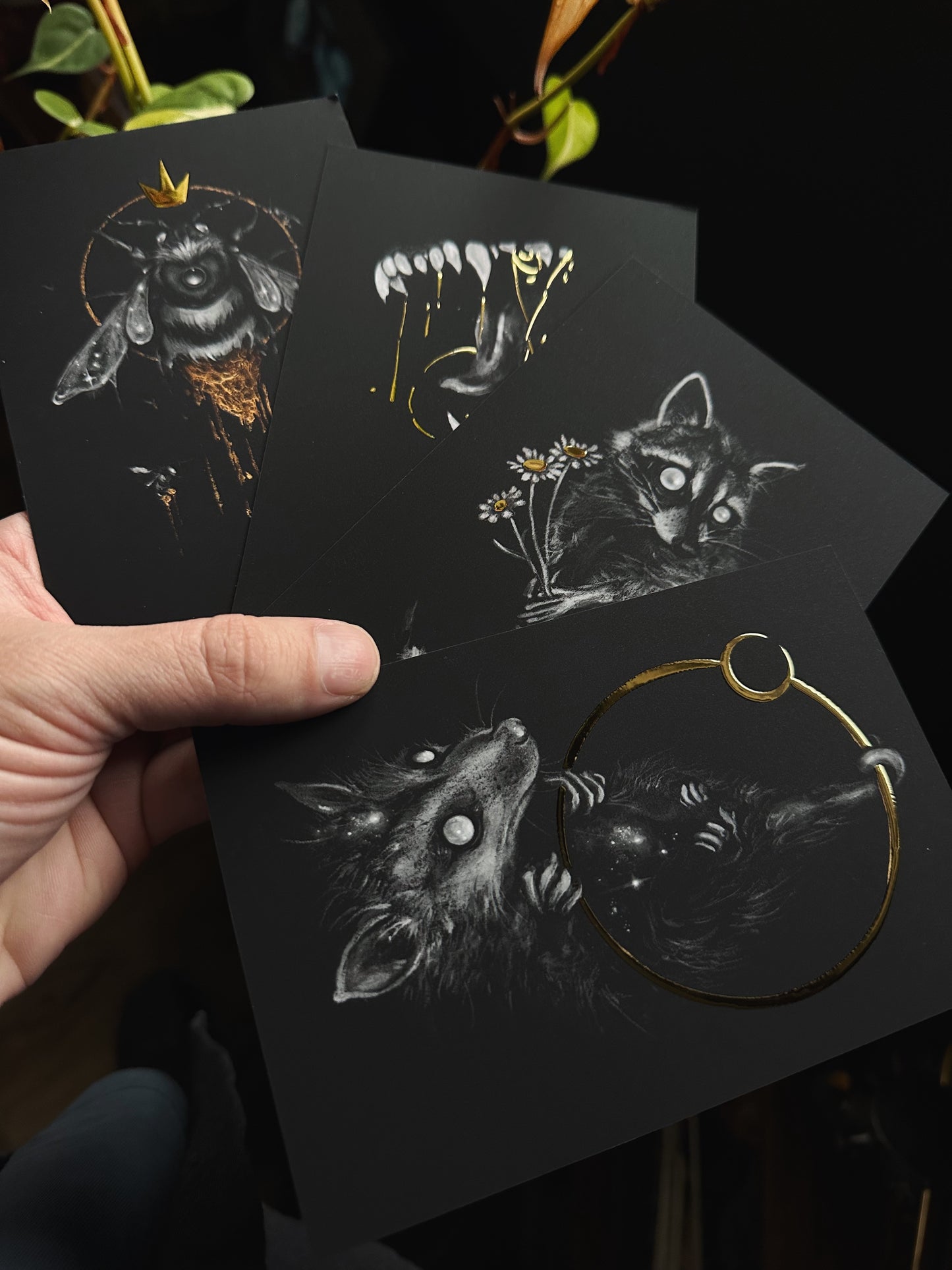 Mystery Pack