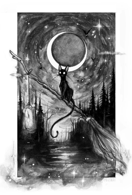 Spellbound Shade