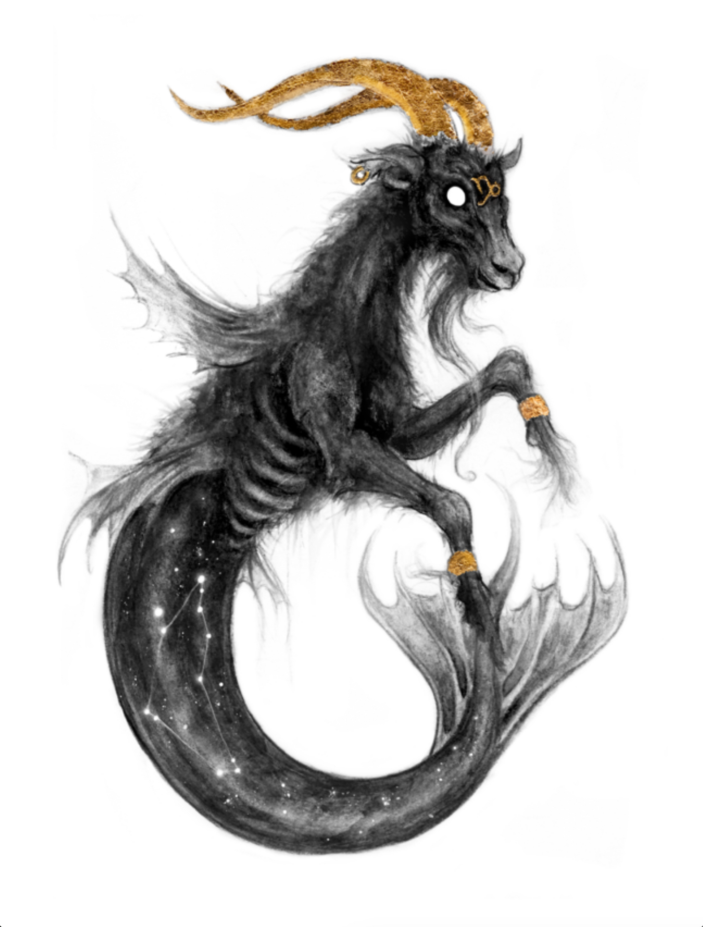 Capricorn