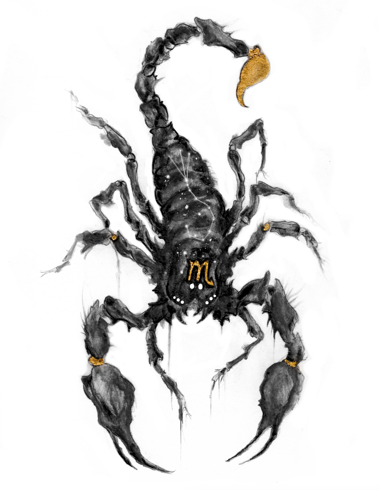 Scorpio